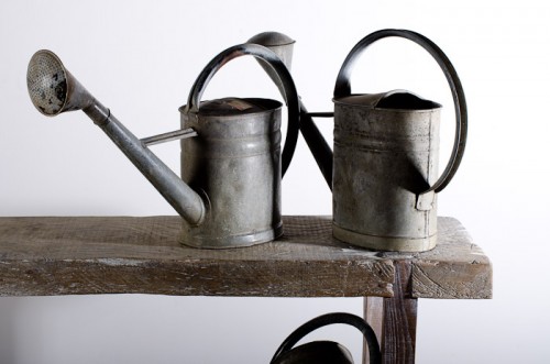 FRENCH PROVINCIAL WATERING CAN c. 1910